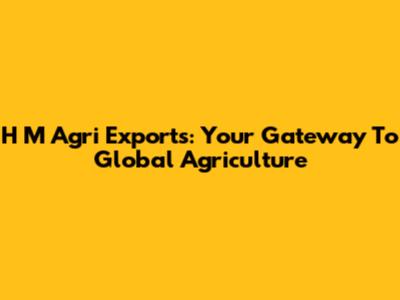 H M Agri Exports: Your Gateway To Global Agriculture