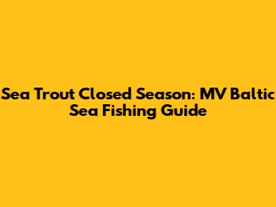 Sea Trout Closed Season: MV Baltic Sea Fishing Guide